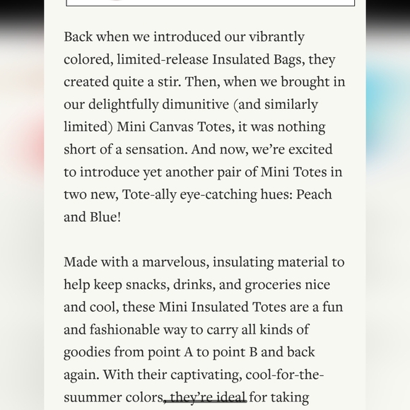 NEW Trader Joe's Mini Insulated Bag in BLUE - Picture 7 of 7